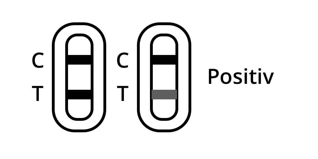 Cleartest Corona Virus Antigen Test, SARS-CoV-2, Nasaltest, positiv